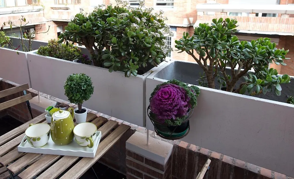 Appartement Capone Al Vaticano Rome